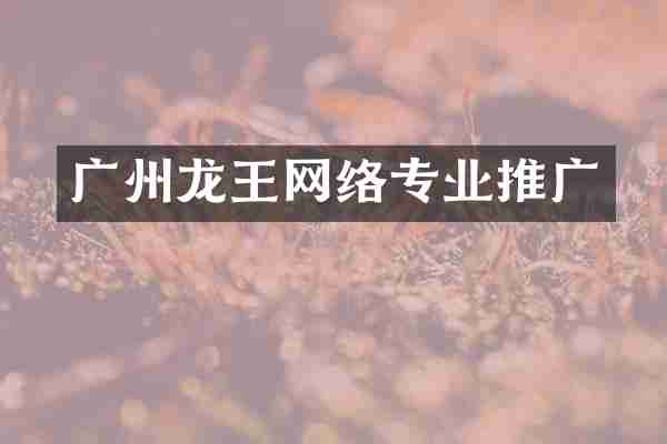 广州龙王网络专业推广