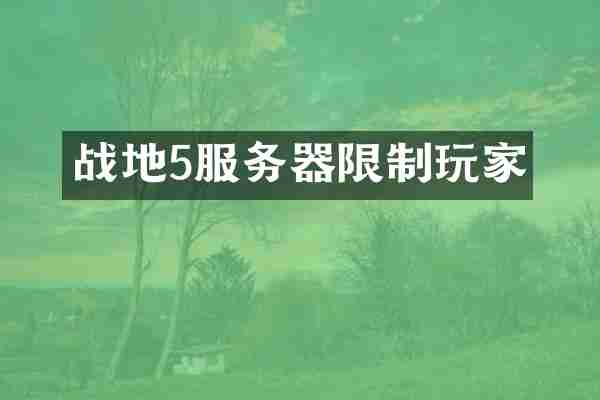 战地5服务器限制玩家