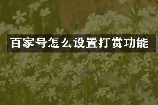 百家号怎么设置打赏功能