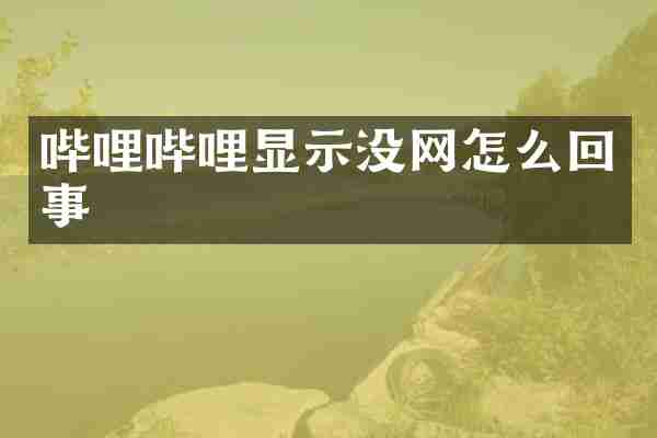 哔哩哔哩显示没网怎么回事