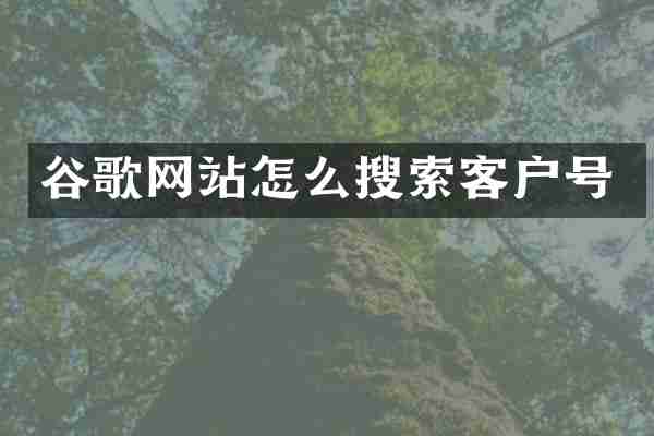 谷歌网站怎么搜索客户号