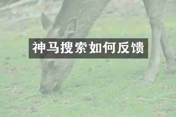 神马搜索如何反馈