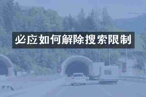 必应如何解除搜索限制