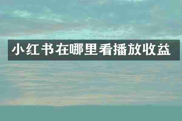 小红书在哪里看播放收益