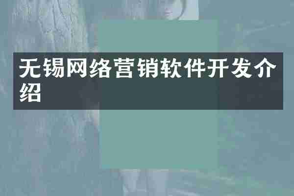 无锡网络营销软件开发介绍