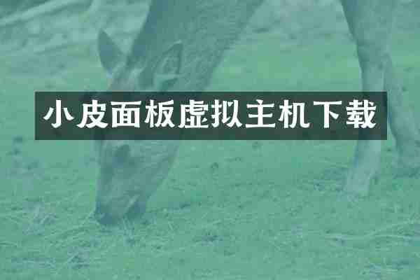 小皮面板虚拟主机下载