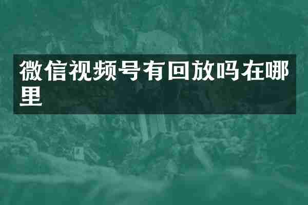 微信视频号有回放吗在哪里