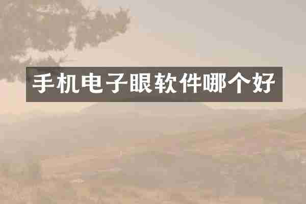 手机电子眼软件哪个好