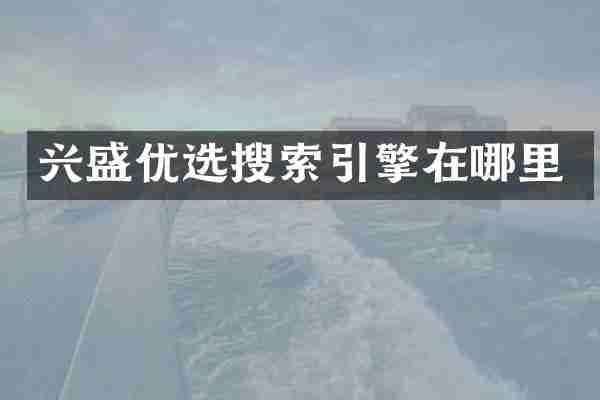 兴盛优选搜索引擎在哪里