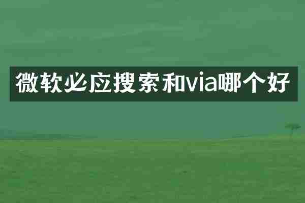 微软必应搜索和via哪个好