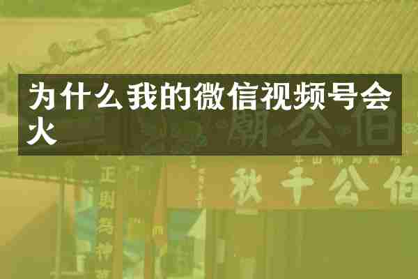 为什么我的微信视频号会火