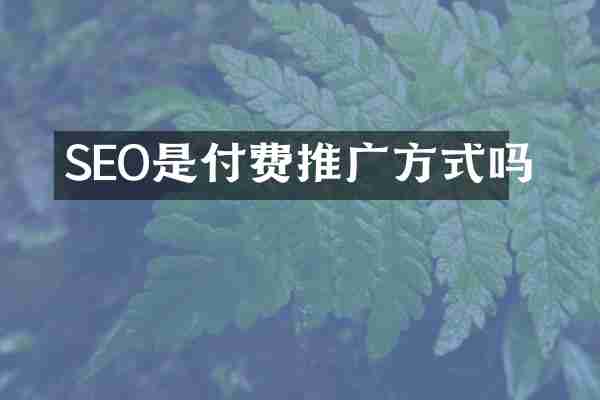 SEO是付费推广方式吗
