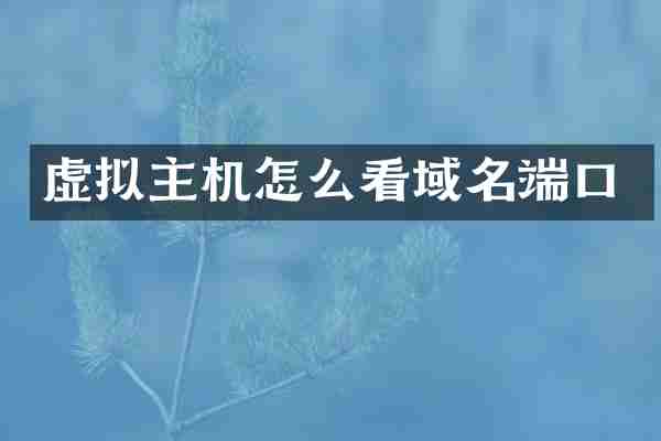 虚拟主机怎么看域名端口