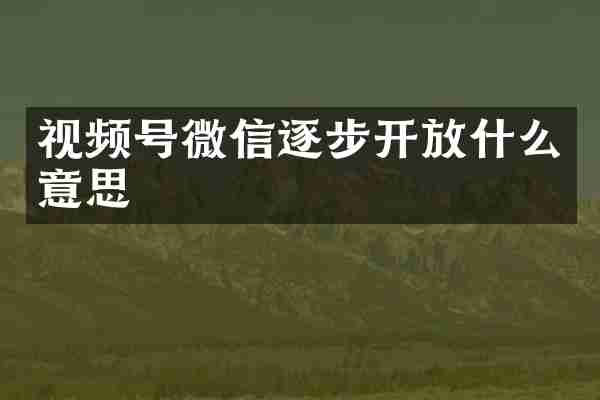 视频号微信逐步开放什么意思