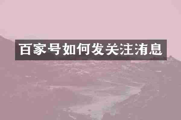 百家号如何发关注洧息