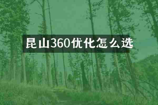 昆山360优化怎么选