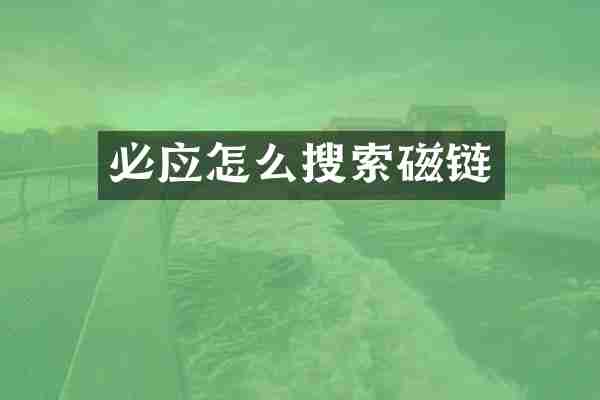 必应怎么搜索磁链