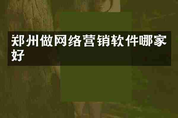 郑州做网络营销软件哪家好
