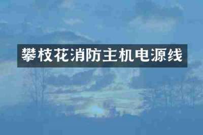 攀枝花消防主机电源线