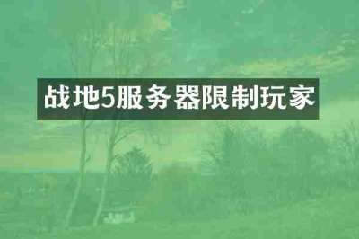 战地5服务器限制玩家