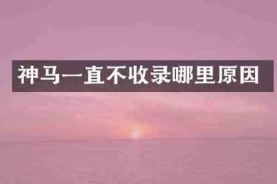 神马一直不收录哪里原因