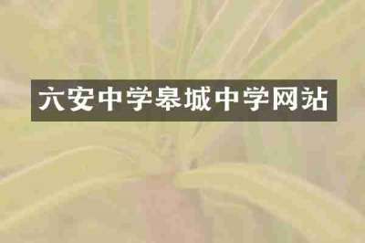 六安中学皋城中学网站