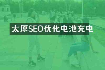 太原SEO优化电池充电
