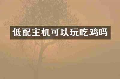 低配主机可以玩吃鸡吗