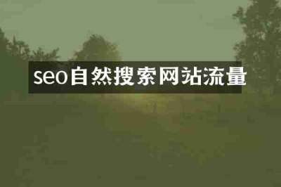 seo自然搜索网站流量
