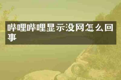 哔哩哔哩显示没网怎么回事