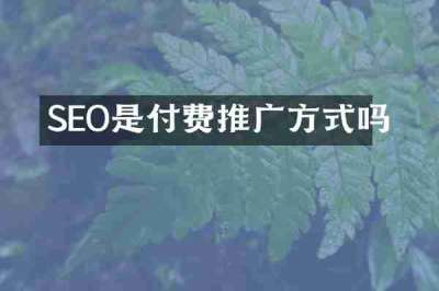 SEO是付费推广方式吗