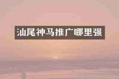 汕尾神马推广哪里强