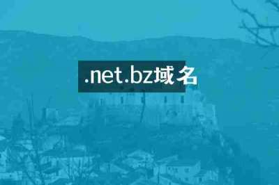 .net.bz域名