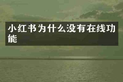 小红书为什么没有在线功能
