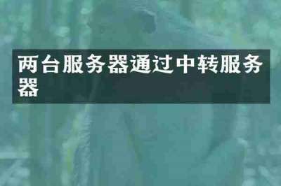两台服务器通过中转服务器