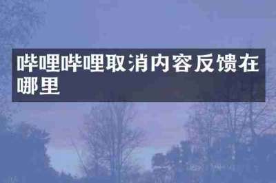 哔哩哔哩取消内容反馈在哪里