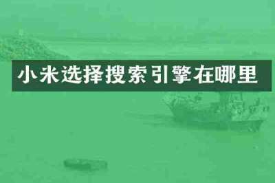 小米选择搜索引擎在哪里