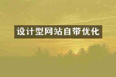 设计型网站自带优化