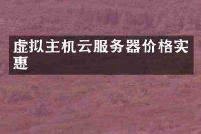 虚拟主机云服务器价格实惠