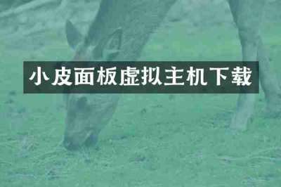 小皮面板虚拟主机下载