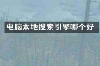 电脑本地搜索引擎哪个好