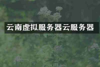 云南虚拟服务器云服务器