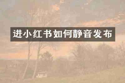进小红书如何静音发布