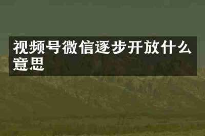 视频号微信逐步开放什么意思