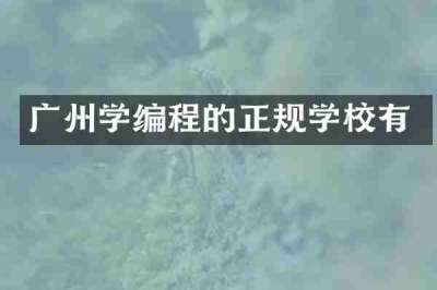 广州学编程的正规学校有