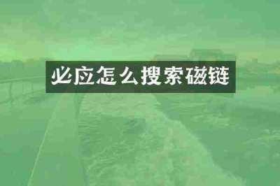 必应怎么搜索磁链