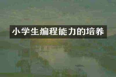 小学生编程能力的培养