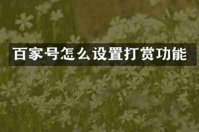 百家号怎么设置打赏功能