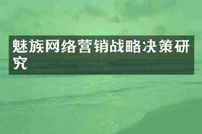魅族网络营销战略决策研究