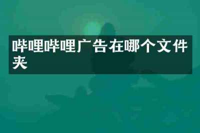 哔哩哔哩广告在哪个文件夹